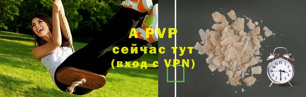 бошки Белокуриха