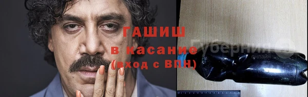 бошки Белокуриха