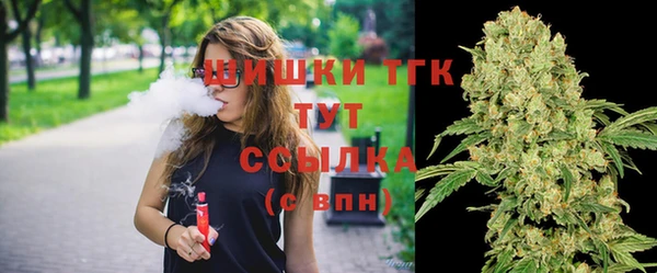 бошки Белокуриха