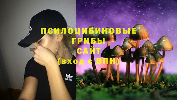 дурь Белоозёрский
