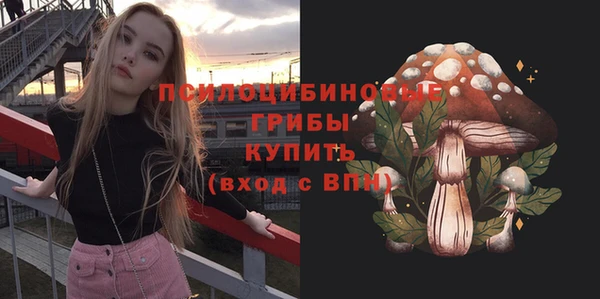 ГАЛЛЮЦИНОГЕННЫЕ ГРИБЫ Балахна