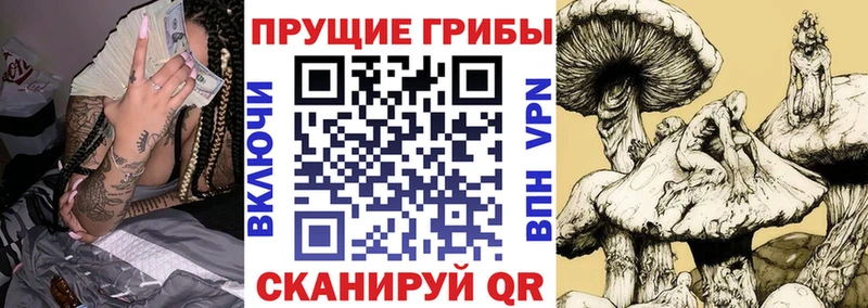 Галлюциногенные грибы Psilocybe  Купить  Слободской 